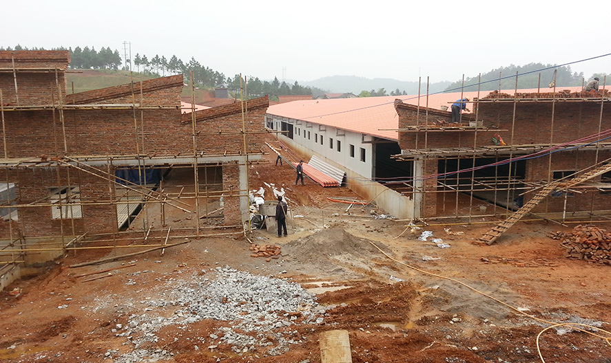 湖南黑豬養豬場，相信選擇傳樹建材！